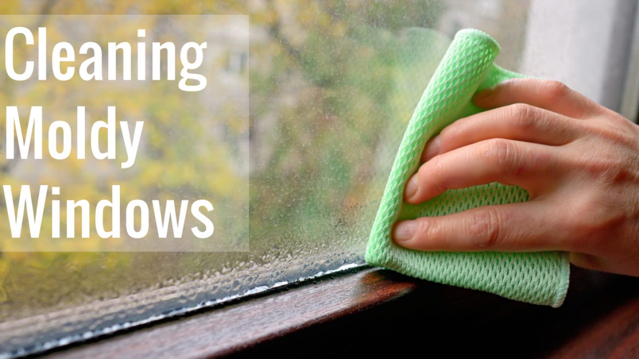 Cleaning Moldy Windows including Glass, Sill, or Frame  Great Plains
