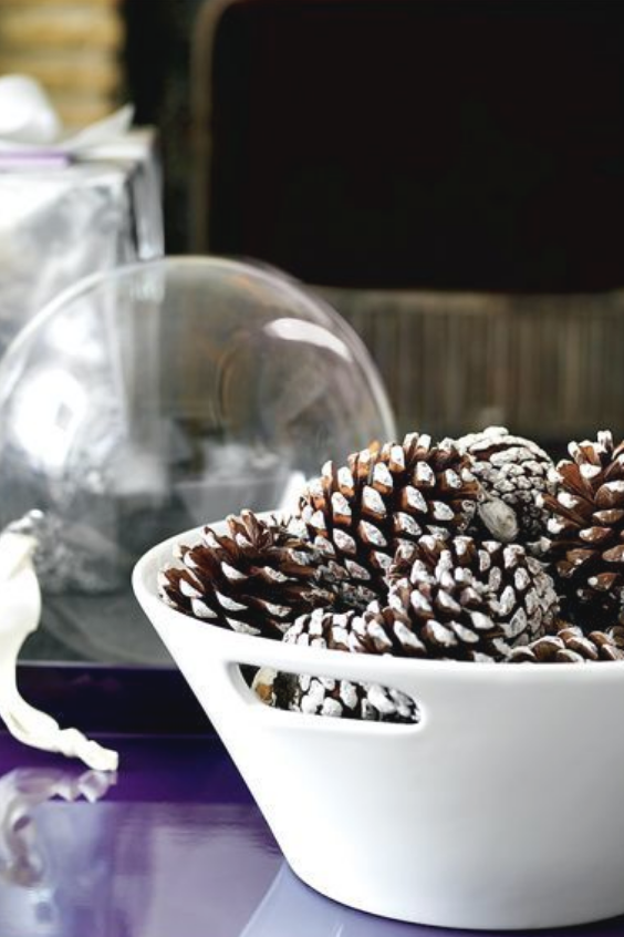 snow-covered-pine-cones-in-white-bowl-1