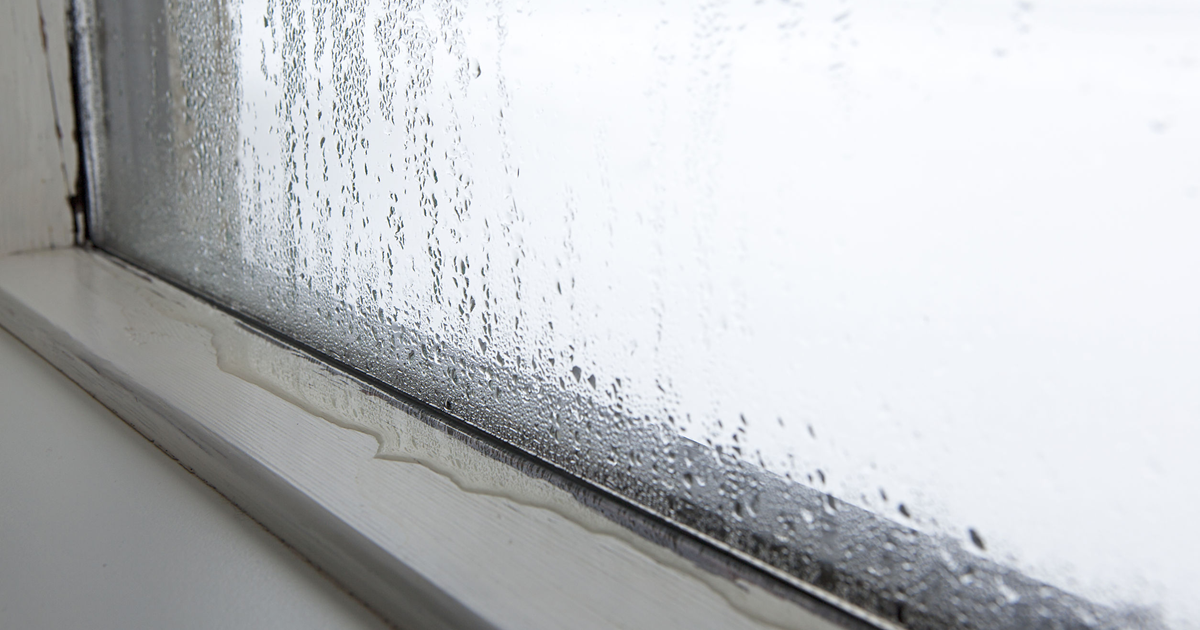 Musty Smells Coming From The Windows